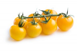 Pomidor Mirabell - gruntowy, wysoki, koktajlowy