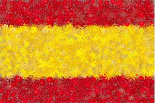Hiszpańska flaga - zestaw 3 odmian nasion kwiatów
