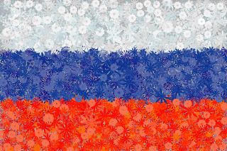 Rosyjska flaga - zestaw 3 odmian nasion kwiatów