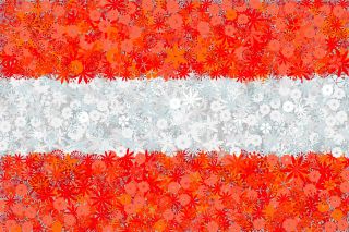 Austriacka flaga - zestaw 3 odmian nasion kwiatów