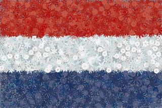 Holenderska flaga - zestaw 3 odmian nasion kwiatów