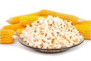 Kukurydza pękająca Dobosz F1 - Popcorn - 70 nasion