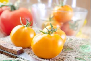 Pomidor Złoty Ożarowski - 80 nasion