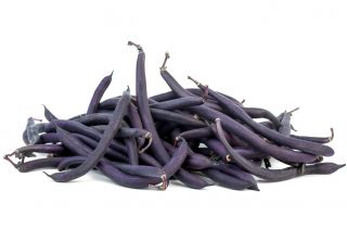 Fasola szparagowa, karłowa - Purple Teepee - 100 nasion