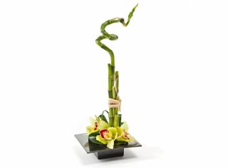 Ikebana kwadratowa - naczynie do kompozycji florystycznych - 19 cm - kolor czarny