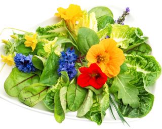 Jadalne kwiaty i zioła - mieszanka