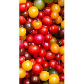 Pomidorki cherry - mieszanka kolorów!