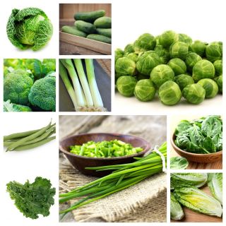 Zielone warzywa - zestaw 10 gatunków