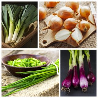Warzywa cebulowe - zestaw 1 - 4 gatunki nasion