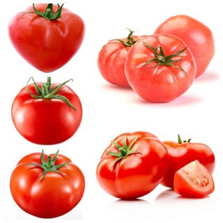 Pomidor malinowy - zestaw 2 - 5 odmian nasion warzyw