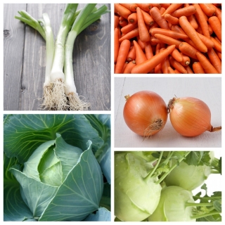 Smaczna jesień - warzywa na późny zbiór - zestaw 5 odmian nasion