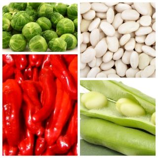 Warzywa wspomagające metabolizm - zestaw 4 odmian nasion