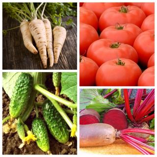 Warzywa oczyszczające organizm - zestaw 4 odmian nasion