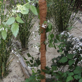 Palik kokosowy do kwiatów - 15 mm / 40 cm