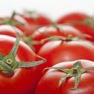 Pomidor Elf - pod osłony - nasiona odmian profesjonalnych dla każdego - 10 nasion