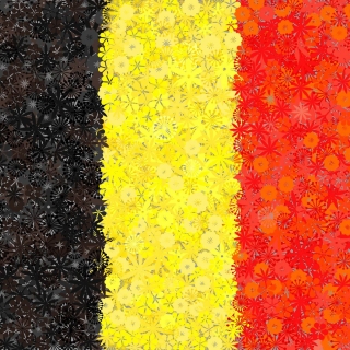 Belgijska flaga - zestaw 3 odmian nasion kwiatów