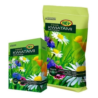 Mieszanka traw - Kwiatami Malowana - 1 kg