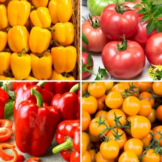Pomidor i Papryka - zestaw 4 odmian nasion warzyw