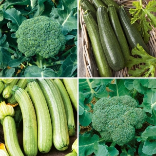 Nasiona brokuła i cukinii - zestaw 4 odmian