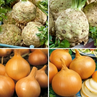 Nasiona cebuli i selera - zestaw 4 odmian