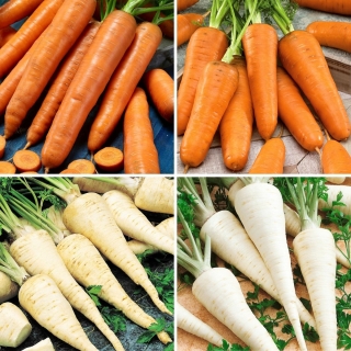 Nasiona marchwi i pietruszki - zestaw 4 odmian warzyw