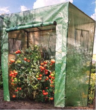 Szklarnia do pomidorów i innych roślin ciepłolubnych - 200 x 198 x 78 cm