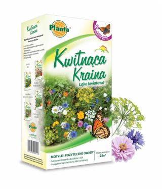 Kwietna kraina - Motyle i Pożyteczne Owady - mieszanka kwiatów wabiących nektarem i pyłkiem - 200 gram