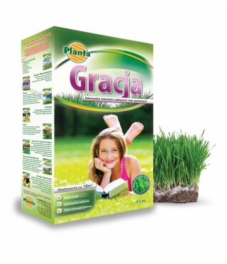 Gracja - mieszanka traw gazonowych o podwyższonych walorach estetycznych - Planta - 2 kg