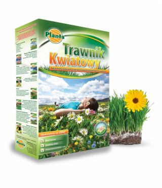 Trawnik kwiatowy - mieszanka traw gazonowych oraz kwiatów - 0,5 kg