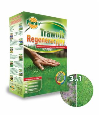 Trawnik regeneracyjny - odbudowa zniszczonego lub zaniedbanego trawnika - Planta - 1 kg