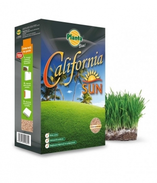 California Sun - mieszanka traw gazonowych na tereny słoneczne i suche - Planta - 5 kg - na 200 m²