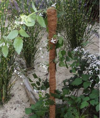 Palik kokosowy do kwiatów - 15 mm / 40 cm