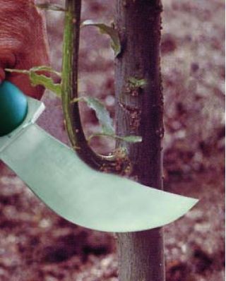 Sierpak - składany nóż ogrodniczy Raco