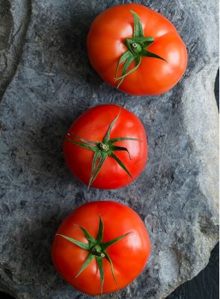 Pomidor szklarniowy - Tukan F1