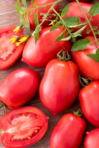 Pomidor gruntowy karłowy Malinowy Bosman - średniowczesny, doskonały na przetwory