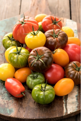 Pomidor - mieszanka odmian do uprawy w gruncie