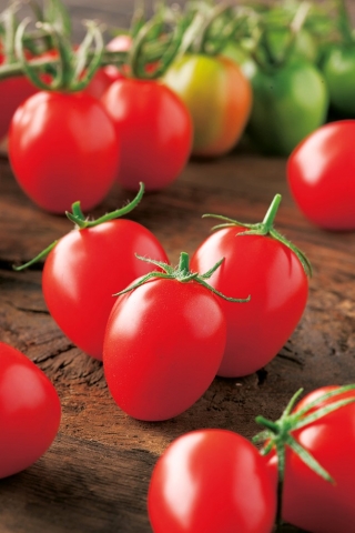 Pomidor Principe Borghese - gruntowy, typu cherry