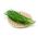 Szczypiorek czosnkowy - warzywo, zioło, roślina ozdobna - 300 nasion