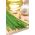 Szczypiorek czosnkowy - warzywo, zioło, roślina ozdobna - 300 nasion