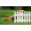 Płotek ogrodowy - 27,5 x 320 cm - terakota