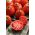 Pomidor – wysoki Red Pear - 120 nasion