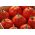 Pomidor – wysoki Red Pear - 120 nasion