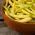 Fasola szparagowa żółtostrąkowa Złota Saxa - 160 nasion