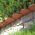 Obrzeże trawnikowe Garden Line - krawężnik wokół trawnika - 10 m - terakota