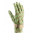 Gustowne rękawice ogrodnicze Majbacka - zielone z kwiatowym deseniem