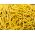 Fasola Gold Pantera - szparagowa karłowa żółta