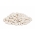 Fasola Aura - karłowa, na suche nasiona - 100 nasion