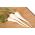 Pietruszka Ołomuńcka - długi, biały korzeń - 4250 nasion