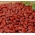Fasola Kreacja - czerwona, na nasiona, bardzo plenna