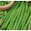 Fasola Esterka - smaczne, bezwłókniste, zielone strąki